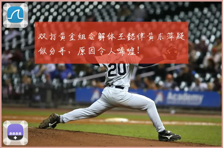 双打黄金组合解体王懿律黄东萍疑似分手，原因令人唏嘘！