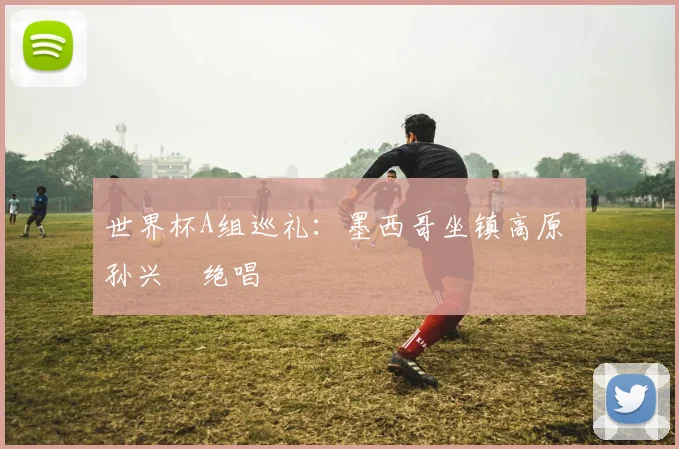 世界杯A组巡礼:墨西哥坐镇高原 孙兴慜绝唱