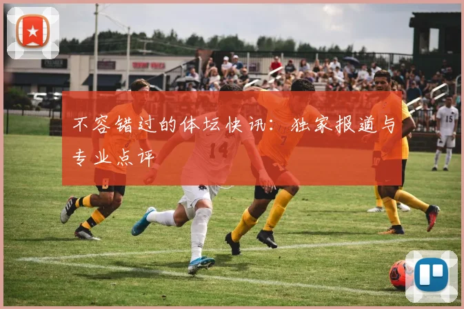 不容错过的体坛快讯：独家报道与专业点评