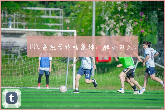 UFC最残忍终结集锦，胆小勿入！