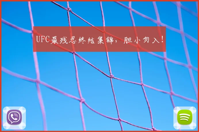 UFC最残忍终结集锦，胆小勿入！
